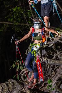 BIB: 
                            <button type="button" onclick="openModal(19481574)" class="btn btn-primary btn-sm float-right btn-popup" data-toggle="modal" data-target=".modal-high-quality">
                        <i class="fas fa-shopping-cart"></i> Add to Cart
                    </button>
                                            <button type="button" onclick="isThisMe(19481574, true)" class="btn btn-success btn-sm float-right btn-popup btn-isme hidden" data-toggle="tooltip" data-placement="bottom" title="นี่คือรูปของคุณใช่ไหม คลิกที่นี่เพื่อเอาเข้าอัลบั้ม">
                        <i class="fas fa-plus"></i> Add to album
                    </button>
                    <button type="button" onclick="isThisMe(19481574, false)" class="btn btn-warning btn-sm float-right btn-popup btn-isnotme hidden">
                        <i class="fas fa-ban"></i> Remove from album
                    </button>